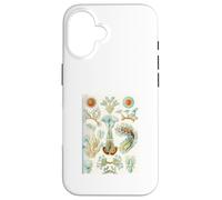 Ernst Haeckel Aquatic Life - Art Vintage de biologie Marine Coque pour iPhone 16