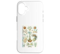 Ernst Haeckel Aquatic Life - Art Vintage de biologie Marine Coque pour iPhone 16 Plus