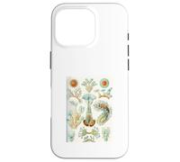 Ernst Haeckel Aquatic Life - Art Vintage de biologie Marine Coque pour iPhone 16 Pro