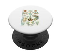 Ernst Haeckel Aquatic Life - Art Vintage de biologie Marine PopSockets PopGrip Adhésif