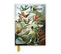 Ernst Haeckel: Hummingbirds (Foiled Blank Journal)