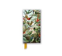 Ernst Haeckel: Hummingbirds (Foiled Slimline Journal)