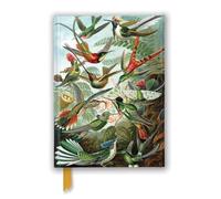 Ernst Haeckel - Hummingbirds Notebook