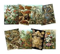 Ernst Haeckel Kunstformen Der Natur Plates Nature Vintage Various Land Sea Biology Art Print Poster Home Decor Premium Pack of 8