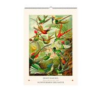 Ernst Haeckel. Kunstformen der Natur. Wandkalender 2027: 13 Motive aus Kunstformen der Natur