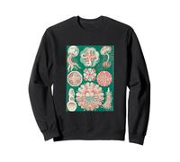 Ernst Haeckel Méduse Art Vintage Biologie Marine Méduse Sweatshirt