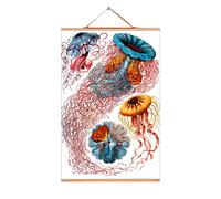 Ernst Heinrich Philipp August Haeckel affiche No 05 eicie OFFRE SPECIALE - 4052115043041