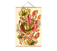 Ernst Heinrich Philipp August Haeckel affiche No 12 eicie OFFRE SPECIALE - 4052115043119