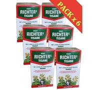 Ernst Richter's Tisane Boite de 20 sachets lot de 6 Boîtes