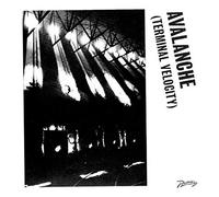 Erol Alkan & Boys Noize (Feat. - Avalanche (Terminal Velocity)