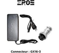 Eroz Chargeur Standard Universel de Trottinette Électrique pour Batterie 36V Noir G