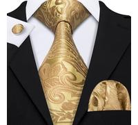 Erra. Wang-Ensemble De Boutons De Manchette Hanky Injaught Pour Hommes,Orange,Marron,Or,Café,Jacquard,Designer,Cravate De La Présidence,Mariage Masculin,Fête D'affaires