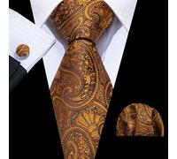 Erra. Wang-Ensemble De Boutons De Manchette Hanky Injaught Pour Hommes,Orange,Marron,Or,Café,Jacquard,Designer,Cravate De La Présidence,Mariage Masculin,Fête D'affaires