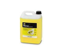 ERRECOM Yellow Cool, Liquide de Radiateur Jaune Fluorescent Concentré, antigel G12 avec Paquet d'inhibiteurs à Base Organique OAT, 5 litres