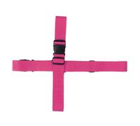 - Erreur - Échec de la Conversion : Erreur de Demande d'api : 403 Erreur Client : Fo... (Spécification)