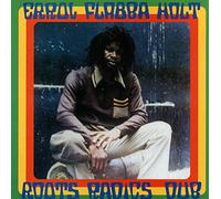Errol Flabba Holt LP - Roots Radics Dub