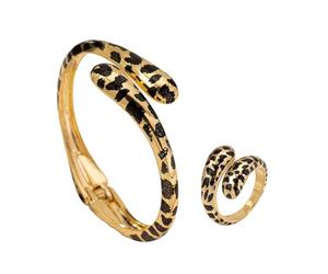ERRORY Ensemble de bijoux à motif léopard - Bagues confortables à porter - Accessoires imprimés animaux pour les amateurs de mode et les créateurs de tendances - Ensemble de bijoux confortables à