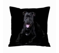 ERRTU Housse de Coussin 40x40 cm,Magnifique Chien Anglais Staffordshire Bull Terrier sur Fond Noir,Housse Coussin Exterieur,Motif Décoratif Taie d'oreiller,Coussin Decoratif Canape