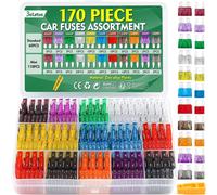 Ersan-170 Pcs Fusible Voiture, 110 Mini Fusible Auto + 60 Moyenne Fusible Automobile + Extracteur (2a 3a 5a 7.5a 10a 15a 20a 25a 30a 35a 40a) Fusibles Pour Auto Moto Truck Rv Camion