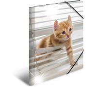 Ershi-19337 Classeur Din A3 En Plastique Solide Avec Effet Brillant Et Rabats Intérieurs Imprimés Motif Animaux Et Chats[861]