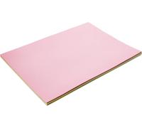 Ershi-Carte , 220 G/M² A3 (Pack Of 25 Sheets) Assorted Pastel Shades[149]