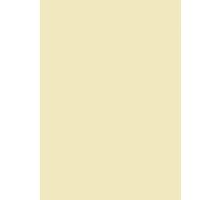 Ershi-Schneider Baier &papier Multi-Usage Universel, Mat, Format A4, 160 G/M ² Chamois, 25 Feuilles[1149]