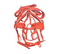 ERSINIAN Harnais d'attelage en Nylon pour Cheval Seul, Rouge/Blanc, avec Bride diamantée (Complet)