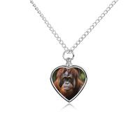 ERSTSNCK Collier urne funéraire pour animal de compagnie avec kit de remplissage - Chaîne réglable de 70,1 cm - Pendentif commémoratif en forme de cœur pour prendre des photos - Cadeau de condoléances