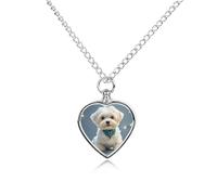 ERSTSNCK Collier urne pour cendres d'animaux domestiques - Joli pendentif commémoratif en forme de cœur avec kit de remplissage - Chaîne réglable de 70,1 cm - Bijou souvenir pour chien et chat