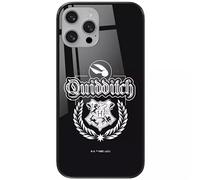 ERT GROUP Coque de téléphone Portable pour Apple Iphone 13 Mini Original et sous Licence Officielle Harry Potter Motif Harry Potter 047 en Verre trempé, Coque de Protection