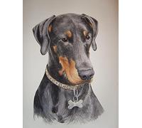 ERUZO Diamant Painting Kits de peinture diamant 5D pour enfants, Dobermann Hund DIY Malen Nach Zahlen Erwachsene Diamant Malerei Geburtstagsgeschenke40x50cm