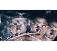 ERUZO Kit de peinture diamant 5D à faire soi-même, série télévisée Teen Wolf, décoration murale, artisanat, 40 x 40 cm