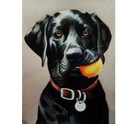 ERUZO Kits de peinture diamant pour adultes et enfants, chien labrador noir, bricolage 5D, peinture diamant, artisanat pour décoration murale de la maison, cadeaux d'anniversaire 30 x 40 cm