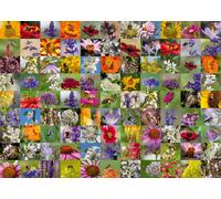 Erwachsenenpuzzle 1000 Teile - 99 Bienen