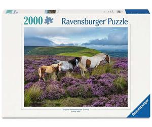 Erwachsenenpuzzle 2000 Teile - Wildpferde in der Heide
