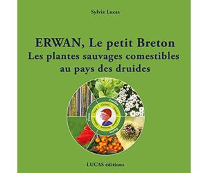 Erwan, le petit Breton Les plantes sauvages comestibles au pays des druides: 2020