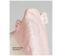 Erwin Wurm - Dissolution