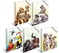 Eryi-19965 Lot De 10 Porte-Documents Din A3 Animaux Exotiques En Plastique Solide Avec Rabats Intérieurs Imprimés, Élastique À Serrer, 10 Dossiers À Dessin Pour Enfants