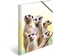 Eryi-19971 Lot De 3 Porte-Documents Din A3 En Plastique Robuste Avec Rabats Intérieurs Imprimés Et Sangle Élastique Pour Enfants, Garçons Et Filles