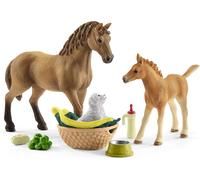 ERYI-42432 Les Soins Pour Bébé Animaux D'Horse Club Sarah, Dès 5 Ans, Horse Club - Coffret, 19 X 6,6 X 15 Cm