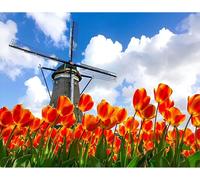 Eryi-50 X 40 Cm Diamond Painting Fleurs Tulipes Diamond Painting Paysage Moulin À Vent Diamant Peinture Photos Fleurs Mosaïque Di[6919]