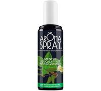 Eryi-Aromaspray® - Spray D'ambiance - Aromathérapie - Menthe Eucalyptus - Fraicheur Aromatique - Huiles Essentielles 100% Pures Et Naturelles - 100 Ml