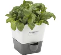 ERYI- H105349 Burwell Pot À Herbes Aromatiques Avec Système D'Irrigation Auto-Arrosage Place Pour 1 Pot Blanc/Gris 13,8 Cm X 13,5 Cm X 13,2 Cm