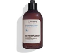 Eryi-L'occitane - Après-Shampoing Fraîcheur Purifiante - Cheveux Et Cuirs Chevelus À Tendance Grasse - Fabriqué En France