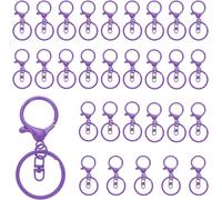 Eryi-Mousquetons À Griffes De Homard Pour Porte-Clés, Lot De 30 Mousquetons À Griffes De Homard Avec Mousqueton Pivotant Et Anneau Fendu Pour Porte-Clés Diy, Violet