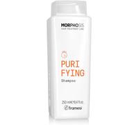 Eryi- New Morphosis Hair Treatment Line Purifying Shampoo 250 Ml