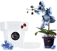 ERYI-® - Pot Orchidée Transparent + Avec Soucoupe Assortie Au Choix : Taille Et Unités Pot Transparent Orchidée (1, ¿12Cm)