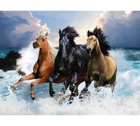 Eryi-Square Diamond Painting Cheval 50x40 Cm Diamond Painting Carré Cheval Broderie Diamant Cheval Peinture Diamant Cheval Tablea[6321]