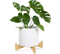ERYI-Support Court En Bois Pour Plantes - Support De Pot De Fleurs À Un Seul Sol - Support Pour Plantes D'Intérieur - Support Moderne Du Milieu Du Siècle Pour Présentation (29 X 6 Cm, Nature)