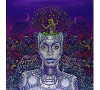 Erykah Badu - New Amerykah Part Two: Return of the Ankh [New Vinyl LP]